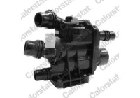 Thermostat, coolant
