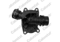 Thermostat, coolant