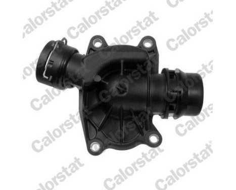 Thermostat, coolant