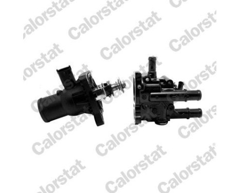 Thermostat, coolant