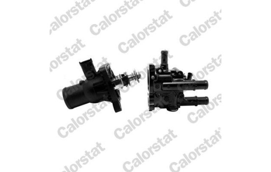 Thermostat, coolant