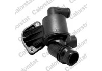 Thermostat, coolant