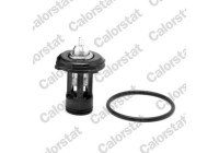Thermostat, coolant