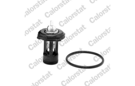 Thermostat, coolant