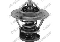 Thermostat, coolant