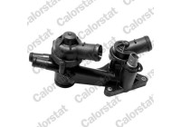 Thermostat, coolant