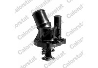 Thermostat, coolant