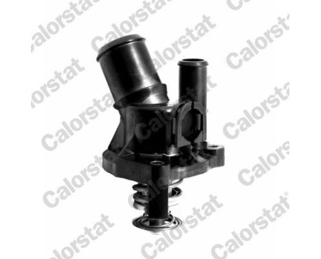 Thermostat, coolant