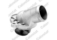 Thermostat, coolant