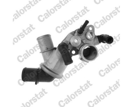 Thermostat, coolant