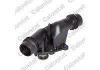 Thermostat, coolant