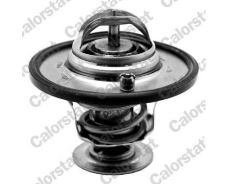 Thermostat, coolant