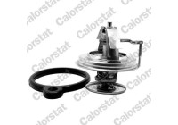Thermostat, coolant