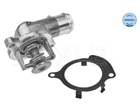 Thermostat, coolant