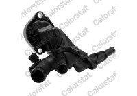 Thermostat, coolant