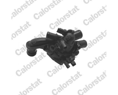 Thermostat, coolant