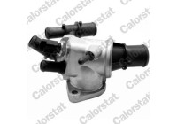 Thermostat, coolant