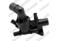 Thermostat, coolant
