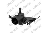 Thermostat, coolant