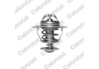 Thermostat, coolant