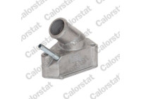 Thermostat, coolant