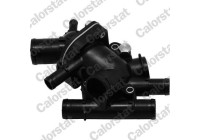 Thermostat, coolant