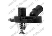 Thermostat, coolant