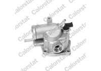 Thermostat, coolant