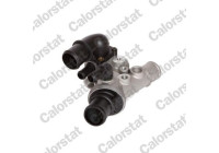 Thermostat, coolant