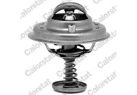 Thermostat, coolant
