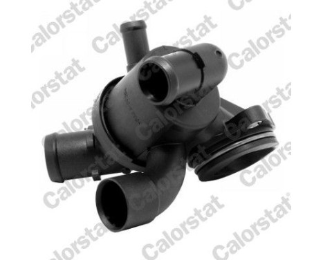 Thermostat, coolant