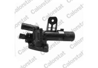 Thermostat, coolant