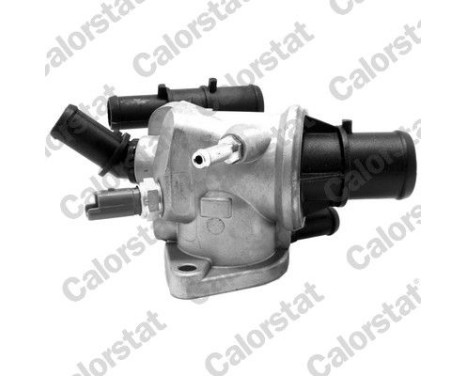 Thermostat, coolant