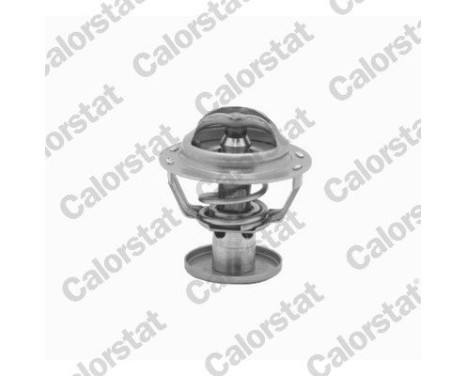 Thermostat, coolant