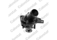 Thermostat, coolant