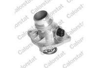 Thermostat, coolant