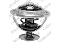 Thermostat, coolant