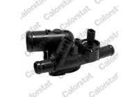Thermostat, coolant