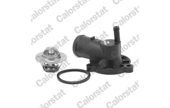 Thermostat, coolant