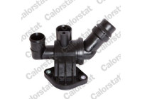 Thermostat, coolant