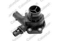 Thermostat, coolant