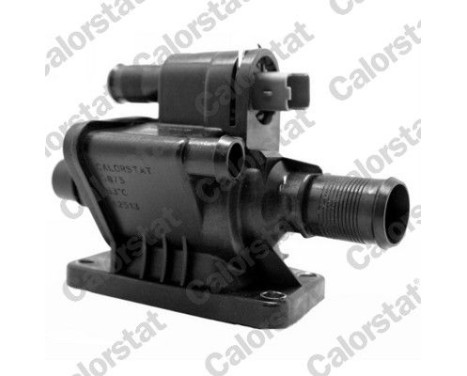 Thermostat, coolant