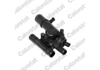 Thermostat, coolant