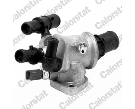 Thermostat, coolant