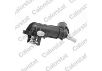 Thermostat, coolant
