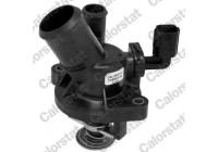 Thermostat, coolant