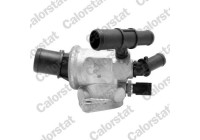 Thermostat, coolant