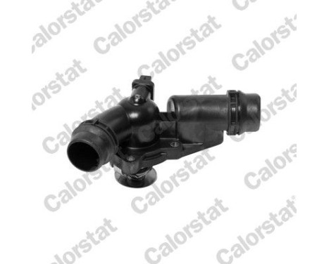 Thermostat, coolant