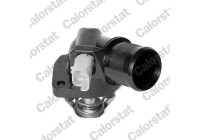 Thermostat, coolant
