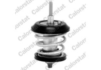 Thermostat, coolant